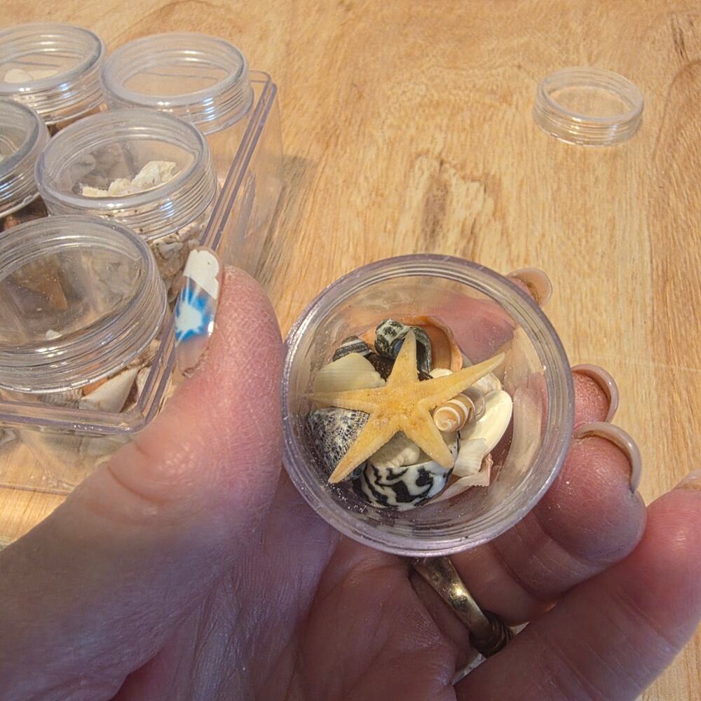 Crafters/Jewelry makers, Plastic storage box filled with TINY Shells /Star fish